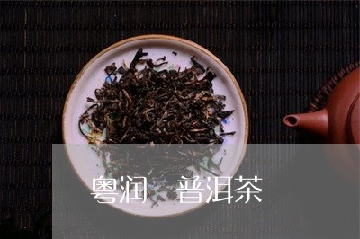 粤润 普洱茶/2023042616948